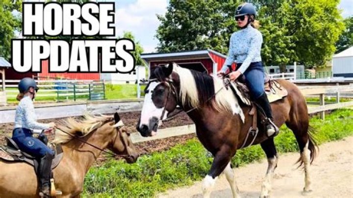 Free Spirit Equestrian video statistics