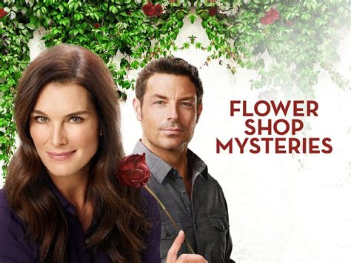 Is Flower Shop Mysteries Cancelled? (Celebrity Interview)