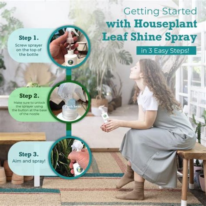 Shine with Plants Net Worth and Earnings