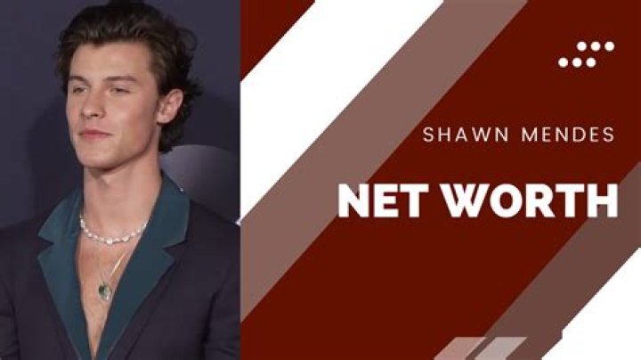 Top 5 Shawn Mendes facts; net worth, girlfriend, age, height, dating. 2022