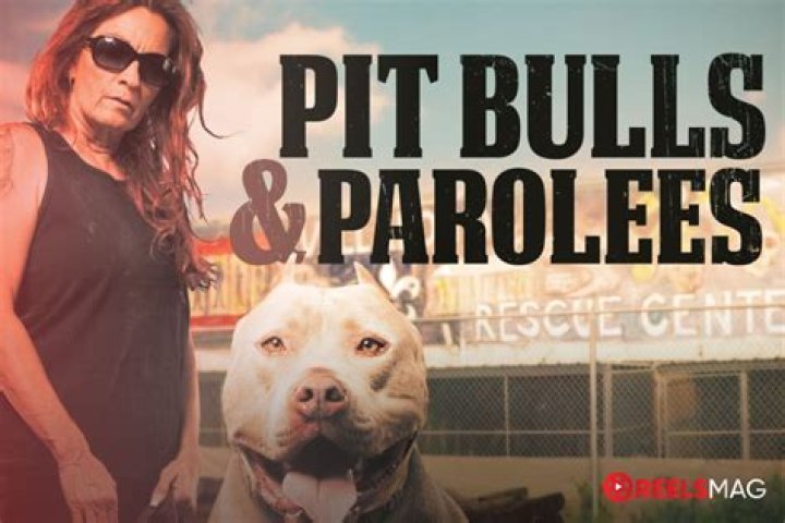 What happened to Jake from “Pitbulls and Parolees”?